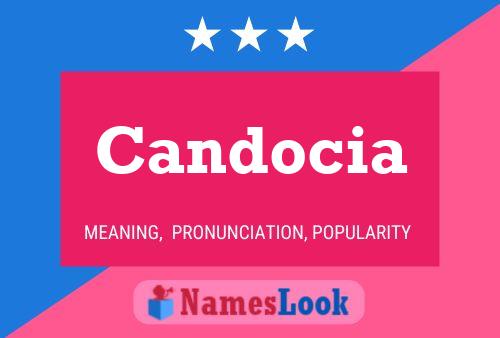 Candocia Name Poster