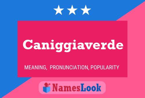 Caniggiaverde Name Poster