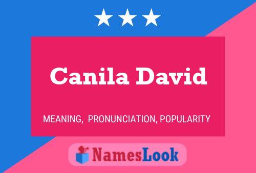 Canila David Name Poster