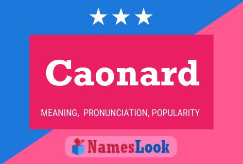 Caonard Name Poster