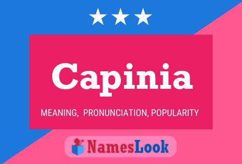 Capinia Name Poster