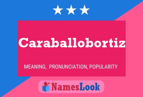 Caraballobortiz Name Poster