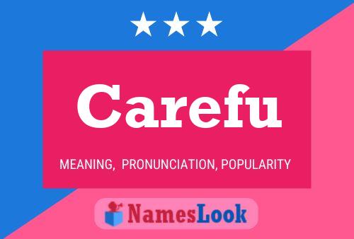 Carefu Name Poster