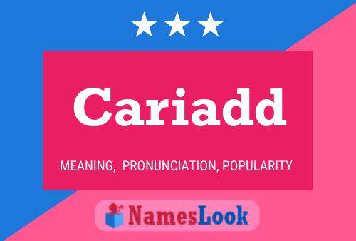 Cariadd Name Poster