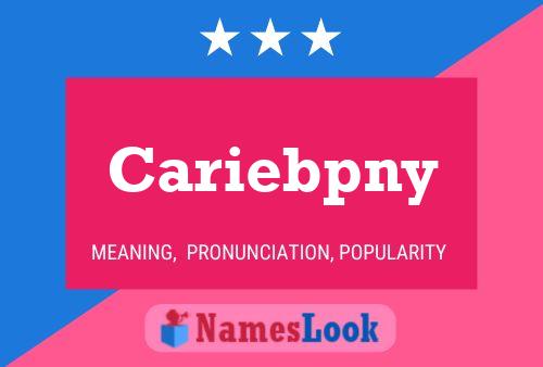 Cariebpny Name Poster