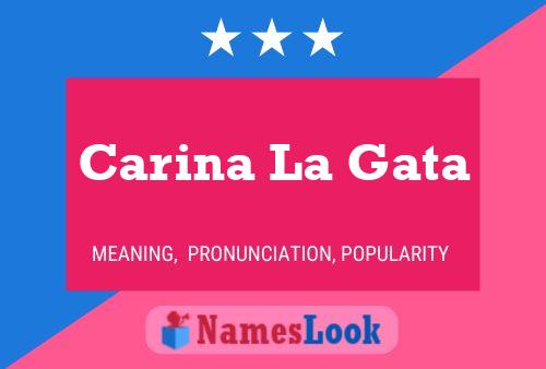 Carina La Gata Name Poster