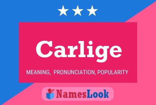 Carlige Name Poster