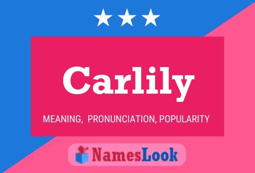 Carlily Name Poster