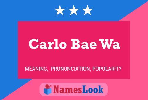 Carlo Bae Wa Name Poster