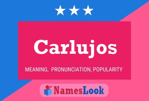 Carlujos Name Poster