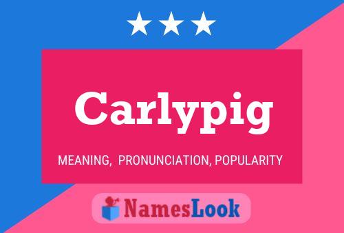 Carlypig Name Poster