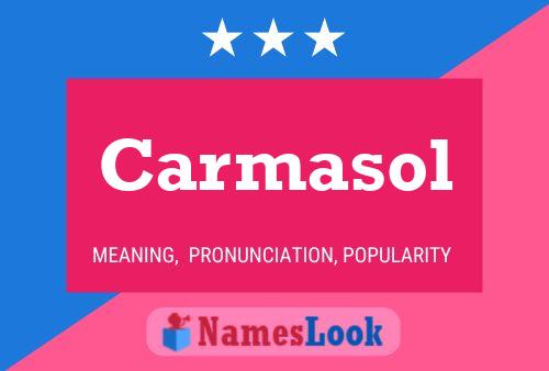 Carmasol Name Poster