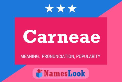 Carneae Name Poster