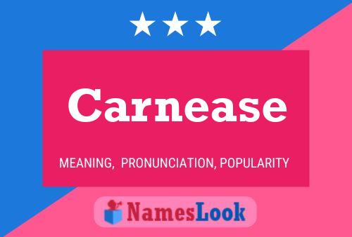 Carnease Name Poster