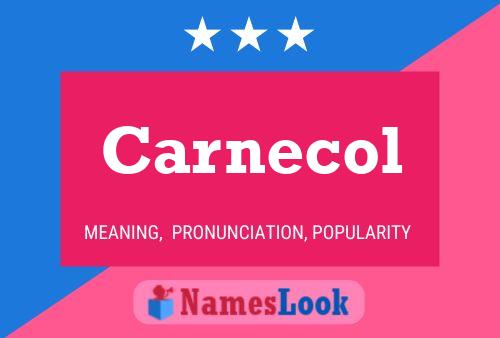 Carnecol Name Poster