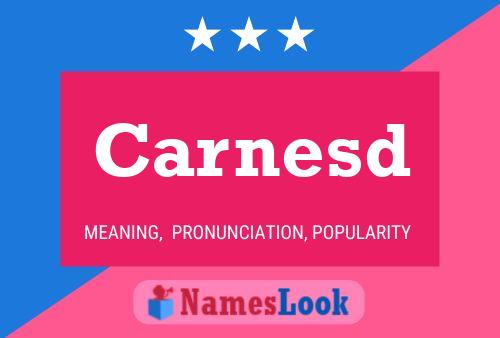 Carnesd Name Poster