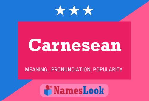 Carnesean Name Poster