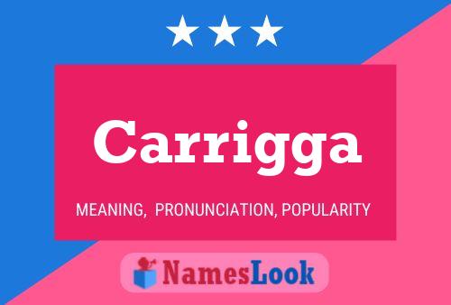 Carrigga Name Poster