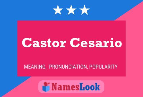 Castor Cesario Name Poster