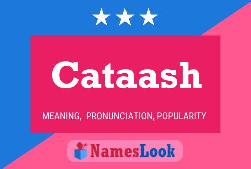 Cataash Name Poster