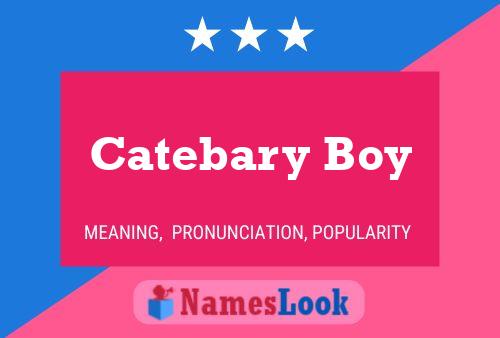 Catebary Boy Name Poster