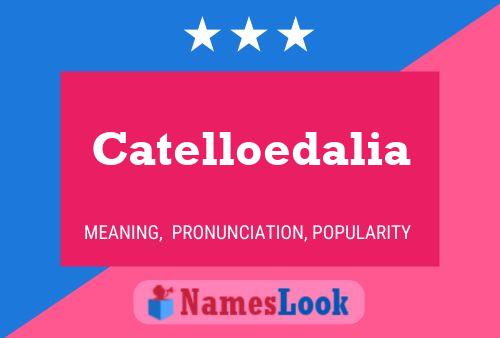 Catelloedalia Name Poster