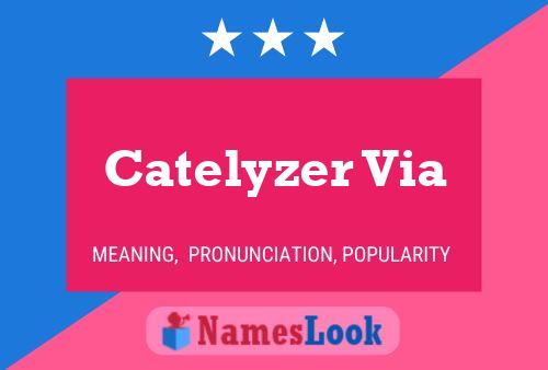 Catelyzer Via Name Poster