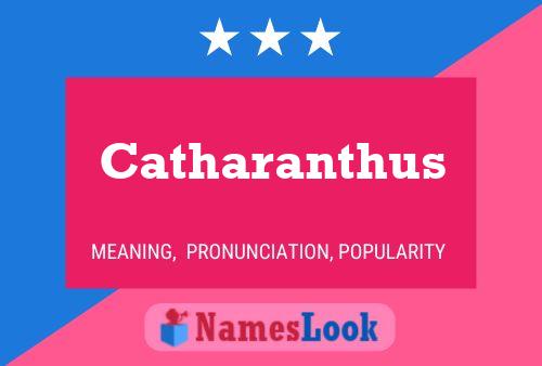 Catharanthus Name Poster