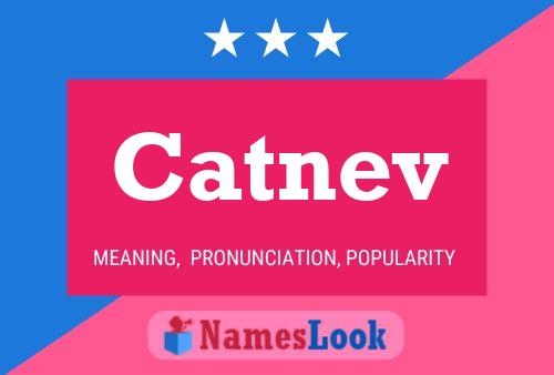 Catnev Name Poster