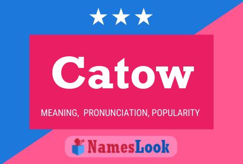 Catow Name Poster