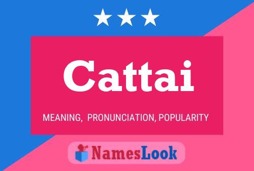 Cattai Name Poster