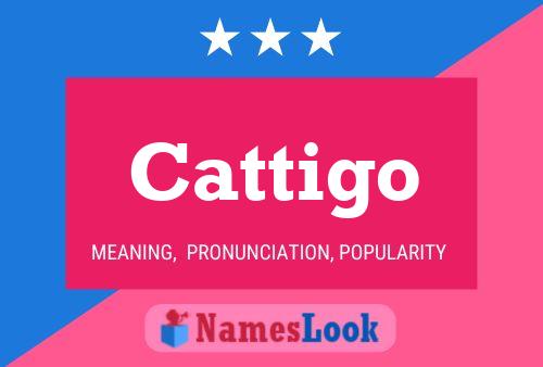 Cattigo Name Poster