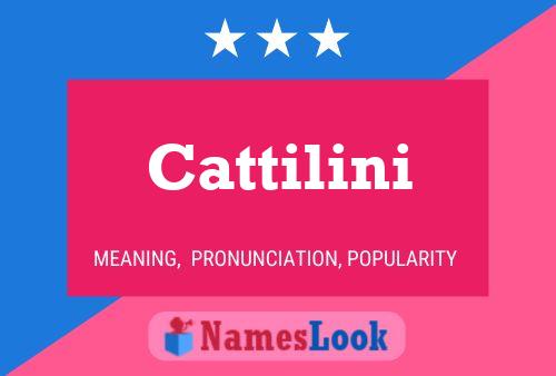 Cattilini Name Poster