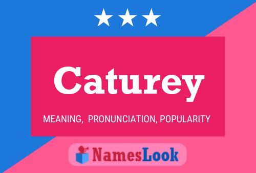 Caturey Name Poster