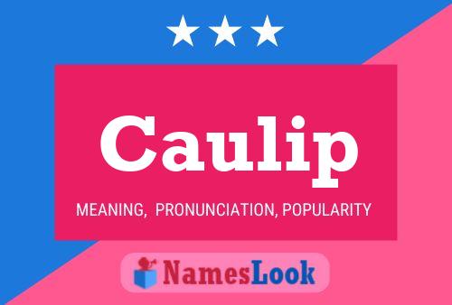 Caulip Name Poster