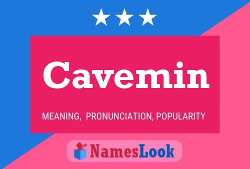 Cavemin Name Poster