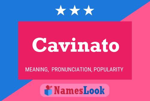 Cavinato Name Poster