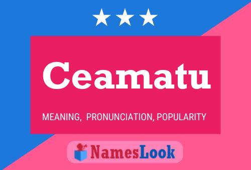 Ceamatu Name Poster