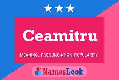 Ceamitru Name Poster