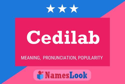 Cedilab Name Poster