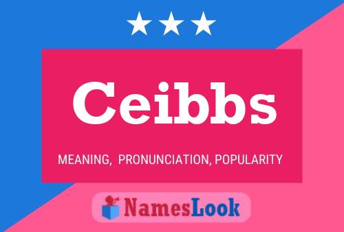 Ceibbs Name Poster