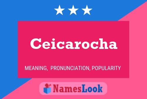 Ceicarocha Name Poster