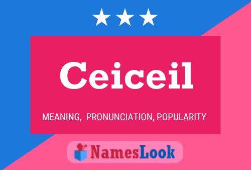 Ceiceil Name Poster