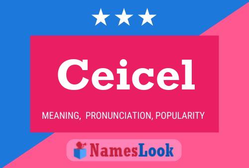 Ceicel Name Poster