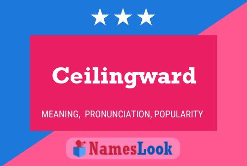 Ceilingward Name Poster