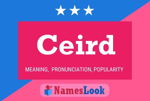 Ceird Name Poster