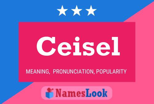 Ceisel Name Poster