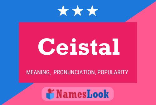 Ceistal Name Poster