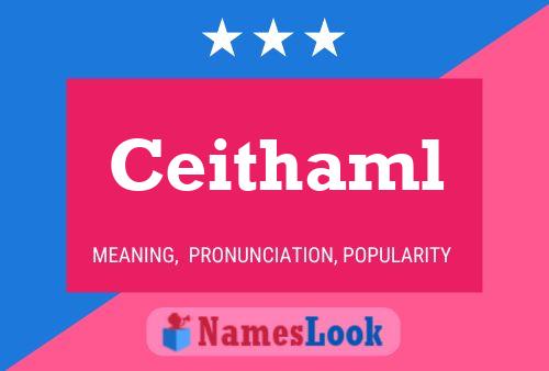 Ceithaml Name Poster