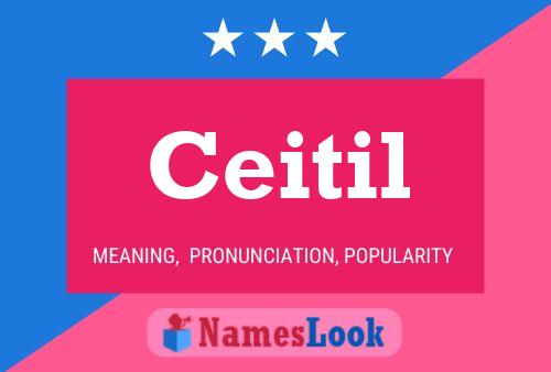 Ceitil Name Poster